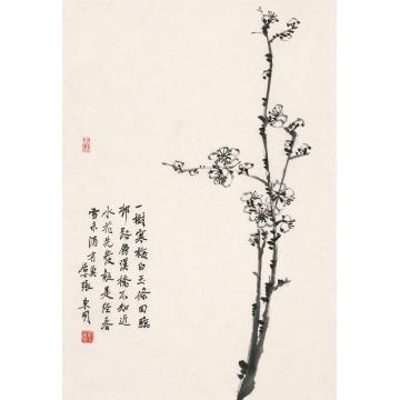 张东明国画花鸟无题字画之家