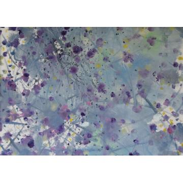 杨晓云国画花鸟花卉字画之家