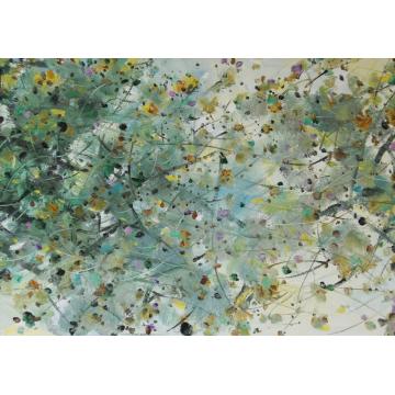 杨晓云国画花鸟花卉字画之家