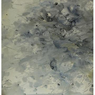 杨晓云国画花鸟花卉字画之家