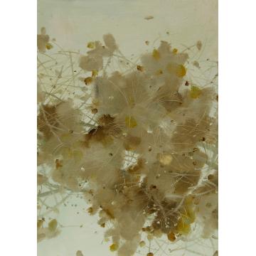 杨晓云国画花鸟花卉字画之家