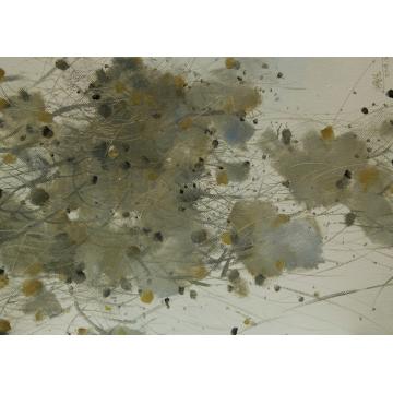杨晓云国画花鸟花卉字画之家