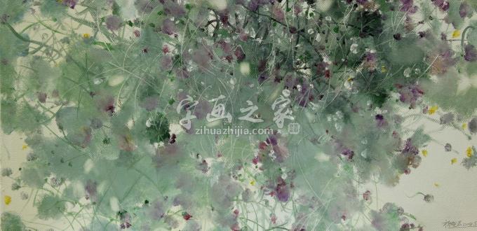 油画家杨晓云字画之家