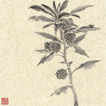 刘懿国画花鸟似曾相识·逸之二字画之家
