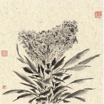 刘懿国画花鸟似曾相识·逸之五字画之家