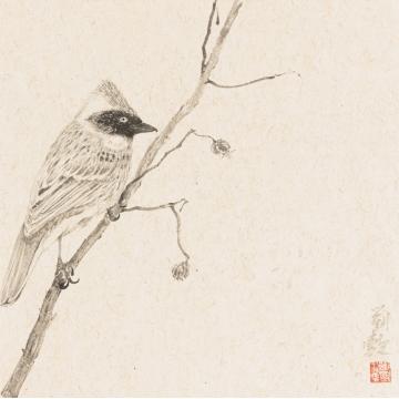 刘懿国画花鸟禽鸟写生册之五字画之家