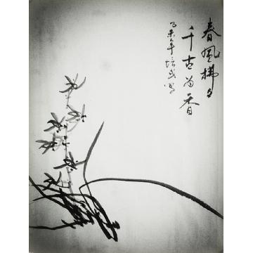 夏培民国画花鸟兰字画之家