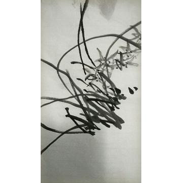 夏培民国画花鸟兰字画之家