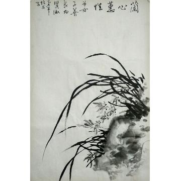 夏培民国画花鸟兰字画之家