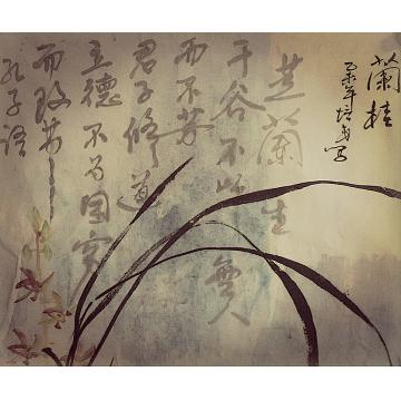 夏培民国画花鸟兰字画之家