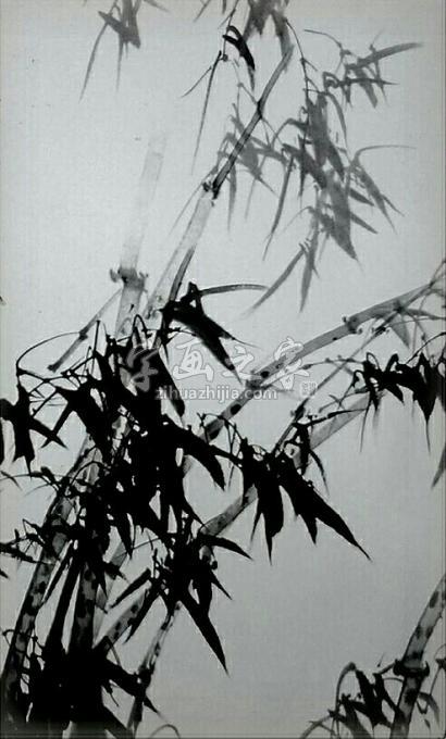 国画家夏培民字画之家
