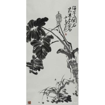陈昭国画花鸟海芋兰石图轴字画之家