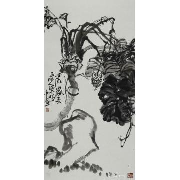 陈昭国画花鸟老海芋顽石图轴字画之家