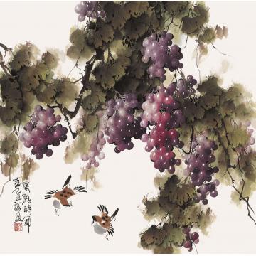 张福盈国画花鸟果熟时节字画之家