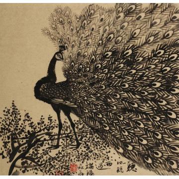 苏华国画花鸟听风听雨过端阳字画之家