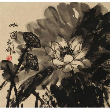 苏华国画花鸟水国字画之家