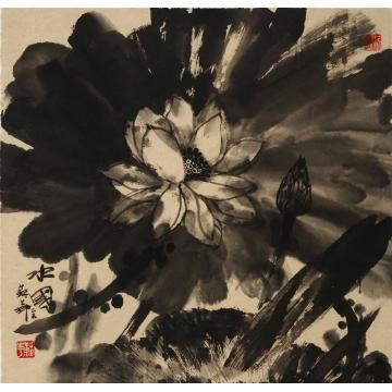 苏华国画花鸟水国字画之家