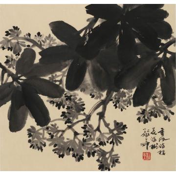 苏华国画花鸟香风满楼花满树字画之家