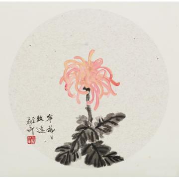 苏华国画花鸟宁静致远字画之家