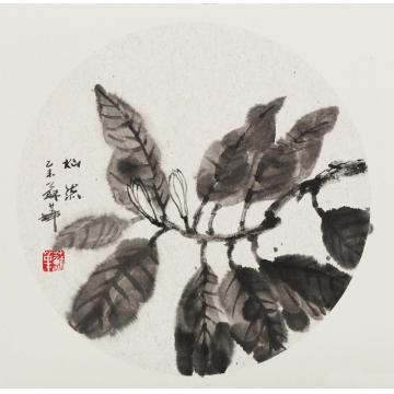 苏华国画花鸟灿苒字画之家