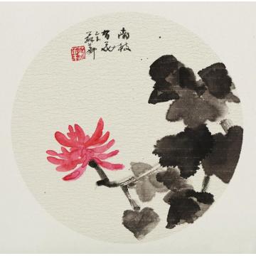 苏华国画花鸟南枝有花字画之家