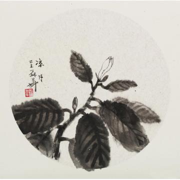苏华国画花鸟清影字画之家
