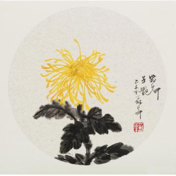 苏华国画花鸟霜华芳艳字画之家