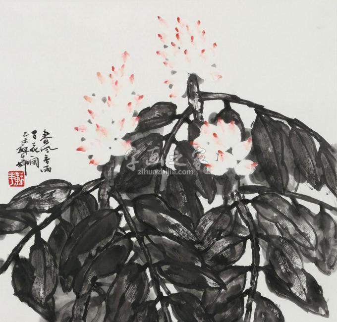 国画家苏华字画之家