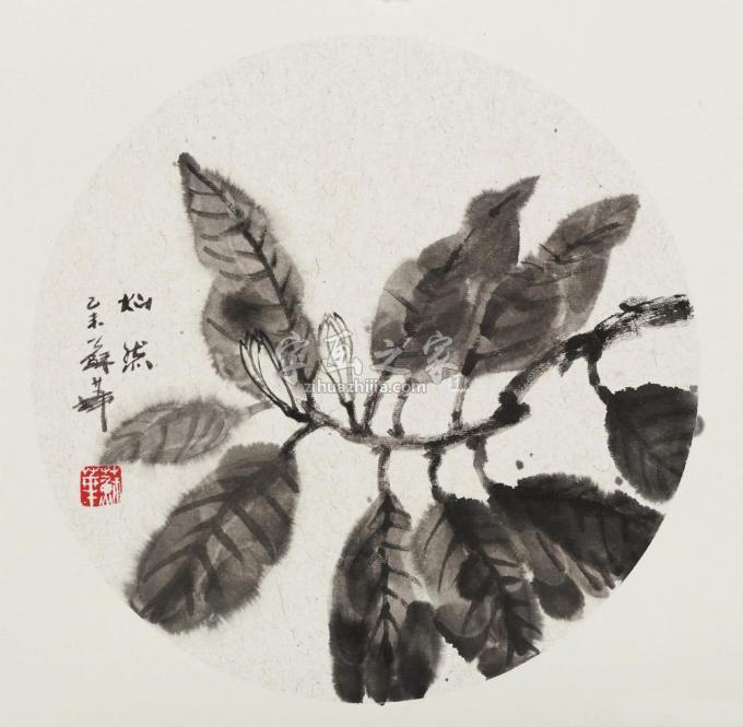 国画家苏华字画之家