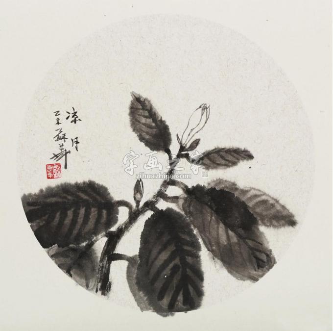 国画家苏华字画之家