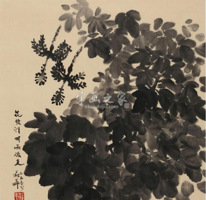 国画家苏华字画之家