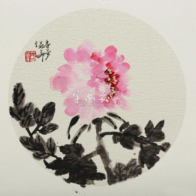 国画家苏华字画之家