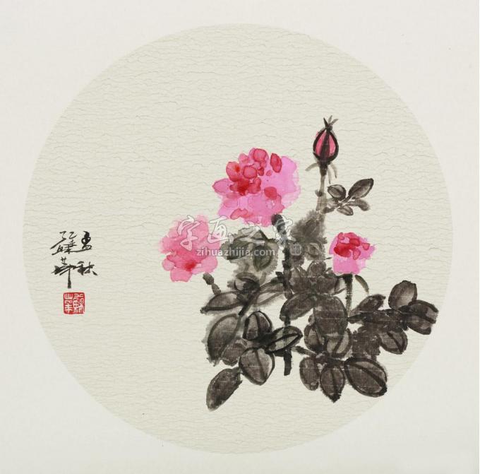 国画家苏华字画之家