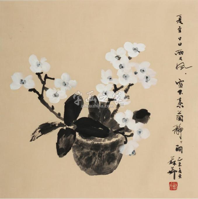 国画家苏华字画之家