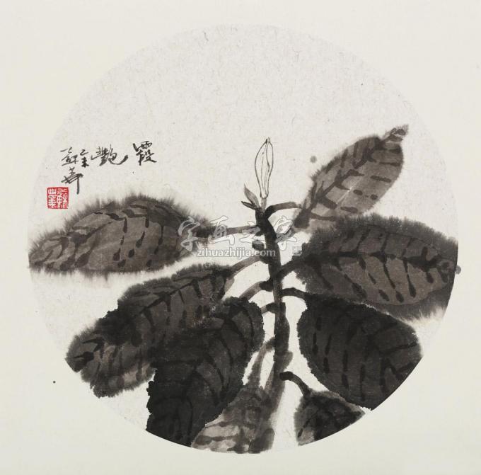 国画家苏华字画之家