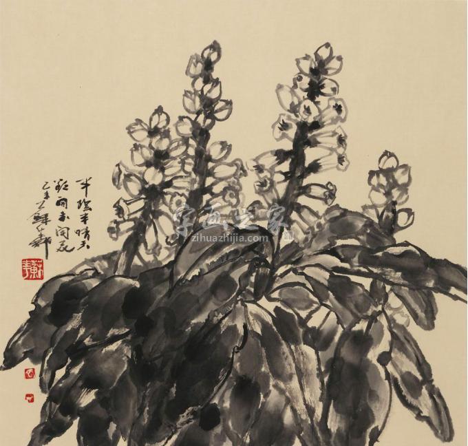 国画家苏华字画之家
