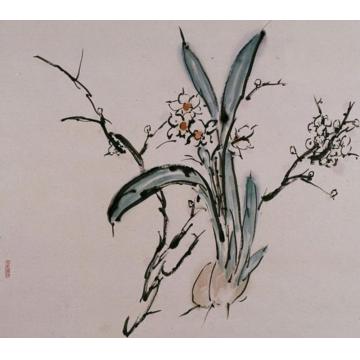 郑利平国画花鸟梅花仙子字画之家