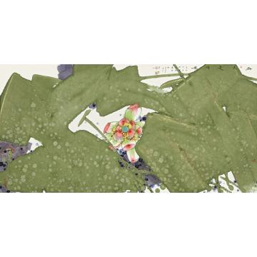 肖振中国画花鸟绿浪萌羞字画之家