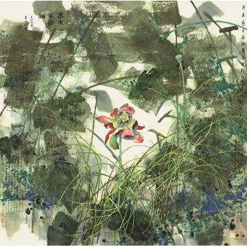 肖振中国画花鸟梦入芙蓉浦字画之家