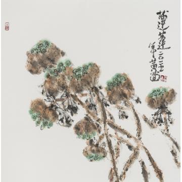 黄茜国画花鸟莲蓬字画之家