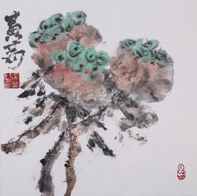 国画家黄茜字画之家