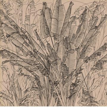 刘绍荟国画花鸟热带植物之五字画之家