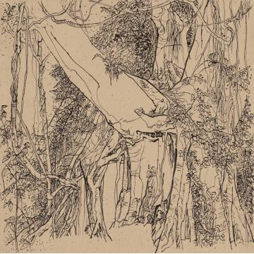 刘绍荟国画山水热带森林之二字画之家