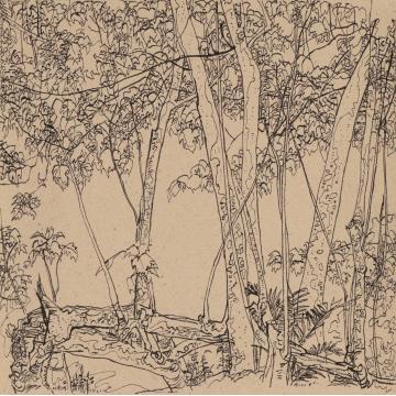 刘绍荟国画山水热带森林之五字画之家