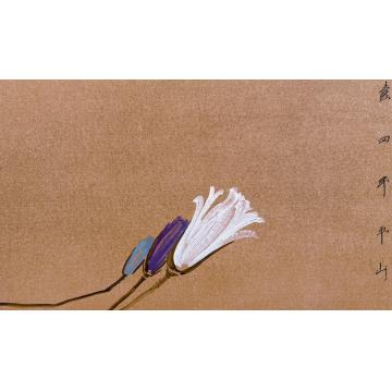 边平山国画花鸟花卉字画之家