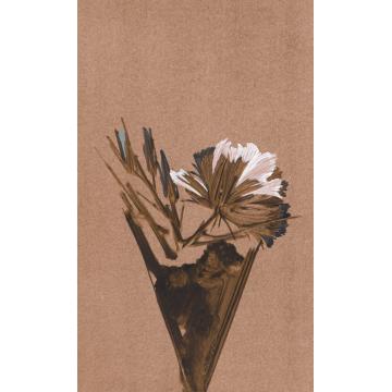 边平山国画花鸟花卉字画之家