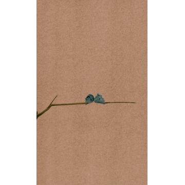 边平山国画花鸟花卉字画之家