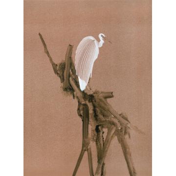 边平山国画花鸟禽鸟字画之家