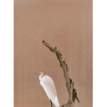 边平山国画花鸟禽鸟字画之家