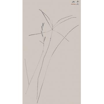 边平山其他《秋词日课》图册系列字画之家